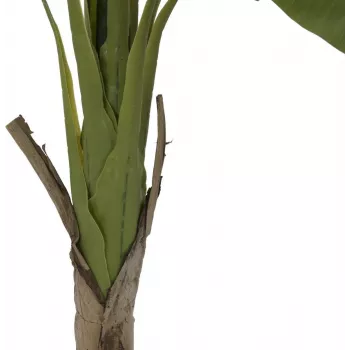 EUROPALMS banánovník umělá rostlina, 145cm 82509504