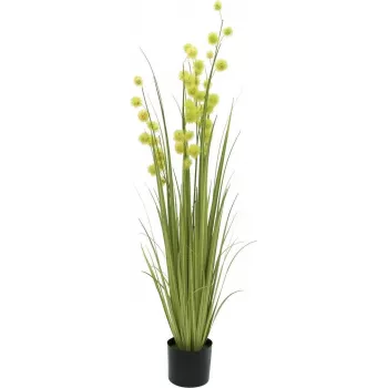 EUROPALMS pompom tráva umělá rostlina, 122 cm, zelená 82500136