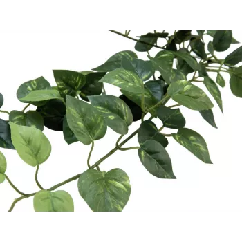 Umělý plot z pothosu EUROPALMS Pothos Bush Fence Classic, 70 cm (82502201)