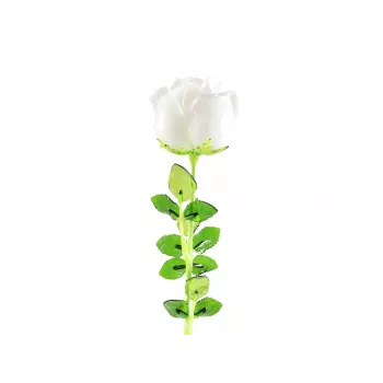 Umělá květina EUROPALMS Crystal Rose, bílá, 81 cm, 12 ks 82600208