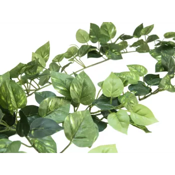Girlanda z pothosu EUROPALMS Pothos Garland Classic, umělá, 180 cm 82503728