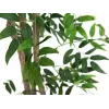 Umělá rostlina EUROPALMS Ficus Longifolia, 165 cm 82506350