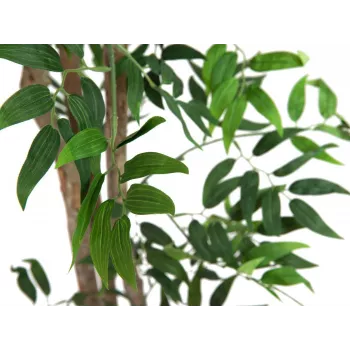 EUROPALMS Ficus Longifolia Artificial Plant, 165cm 82506350