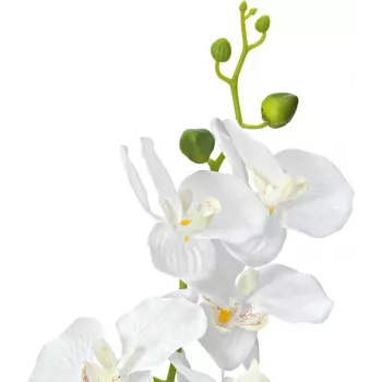 Umělá rostlina EUROPALMS orchidej, bílá, 80 cm (82530362)