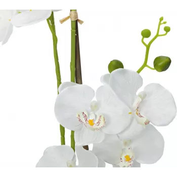 Umělá rostlina EUROPALMS orchidej, bílá, 80 cm (82530362)