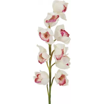 EUROPALMS Cymbidium Branch, Artificial, White-Pink, 90cm 82530312