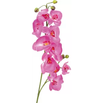 Umělá větev orchideje EUROPALMS, fialová, 100 cm 82530322