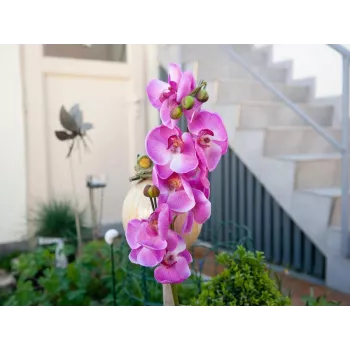 Umělá větev orchideje EUROPALMS, fialová, 100 cm 82530322