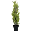 EUROPALMS Leyland Cypress Artificial Plant, 60cm 82606959