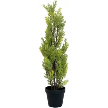 Umělá rostlina EUROPALMS cypřiš Leyland, 60 cm 82606959