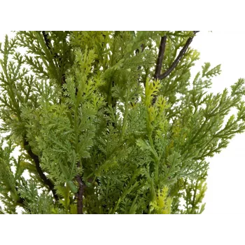 Umělá rostlina EUROPALMS cypřiš Leyland, 60 cm 82606959