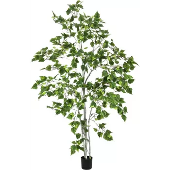 Umělá rostlina EUROPALMS bříza, 180 cm 82505231