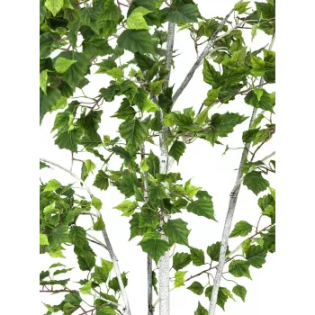 Umělá rostlina EUROPALMS bříza, 180 cm 82505231