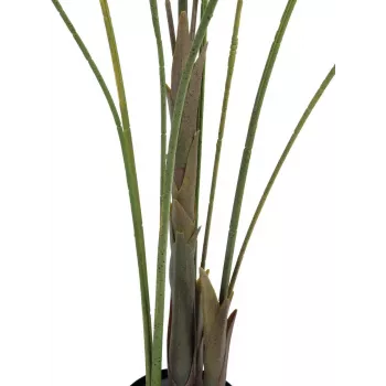 Umělá palma EUROPALMS areka velkolistá, 185 cm (82509442)