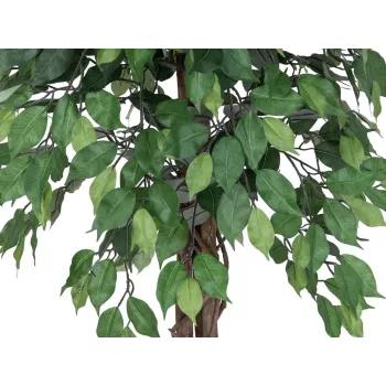EUROPALMS Ficus Benjamina Multi-Stem Artificial Plant, 180 cm 82506126