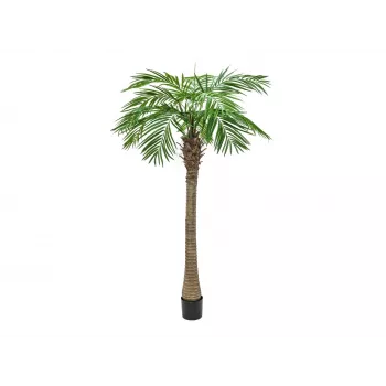 Umělá rostlina EUROPALMS Phoenix Palm Luxor, 210 cm 82510721