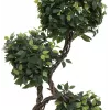 EUROPALMS umělá rostlina Ficus Multi Spiral Trunk, 160 cm 82501563