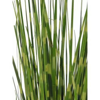Umělá tráva EUROPALMS Zebra Grass, 90 cm 82505863