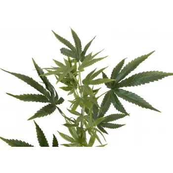 EUROPALMS Artificial Hemp Branch, 90cm, Green 82506699