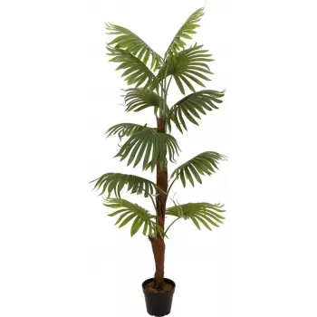 Umělá rostlina vějířová palma EUROPALMS, 155 cm 82509303
