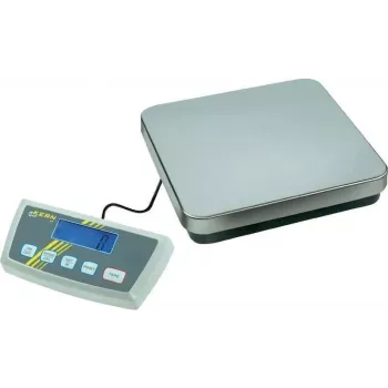 Kern DE 60K10D Dual-Range Platform Scale, 60 kg Capacity, 10/20 g Readability, Stainless Steel Weighing Plate, Battery & Mains Powered