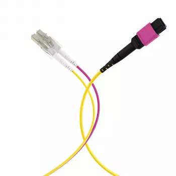 Trunk kabel EFB Elektronik MPOF12LCOM4-5 MPO-PLUS (F) na LC duplex, OM4, 12 vláken, typ B, LSZH, fialový Erika, 5 m