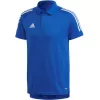 Pánské polo tričko adidas Condivo 20, Team Royal Blue/White, ED9237, velikost S