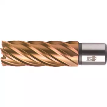 BDS HSS VarioPLUS 17 mm Annular Cutter, 55 mm Cutting Depth, Weldon Shank KBL-VP017