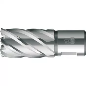 BDS HSS Annular Cutter Standard 17.0 mm Cutting Depth 30 mm Weldon Shank (KBK-017)