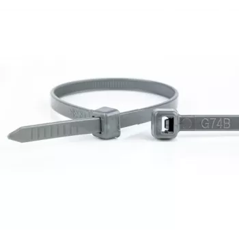 WKK Grey Polyamide Cable Ties 100 x 2.5 mm, 100-Pack (11032871)