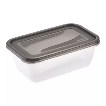 keeeper fredo fresh Food Storage Container Set, 2 x 3.3 L, Rectangular, Transparent with Grey Lids 3068082700000