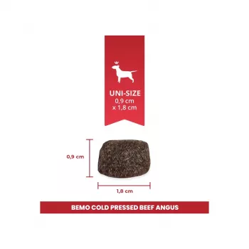Suché krmivo pro psy BEMO Cold Pressed hovězí Angus Mono – 1kg