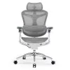Ergonomická kancelářská židle Sihoo DORO C300 Pro síťovaná bílá