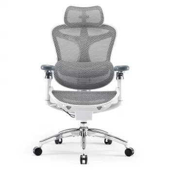 Ergonomická kancelářská židle Sihoo DORO C300 Pro síťovaná bílá