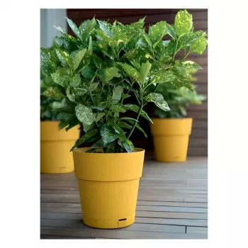 Květináč STEFANPLAST Ethica s miskou Ø40x39 cm hořčicově žlutý
