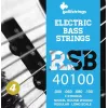Galli RSB40100 Bass Guitar Strings - 4-String Set, Nickel Plated Steel, Round Wound, .040-.100, Long Scale