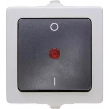 HEINRICH KOPP Nautic Single-Pole Surface-Mounted Switch, IP44, Grey, 10A 250V AC 565296007