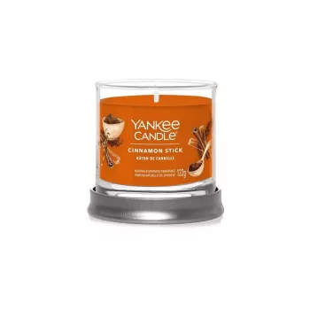 Yankee Candle Cinnamon Stick 1-Wick Tumbler Candle
