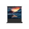 celexon Professional mobile plus Projection Screen, 51" (131 cm)