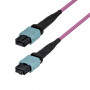 Multividové vláknové patch kabely MTP/MPO-12 StarTech.com OM4MTP12BOFNP7M (7 m)