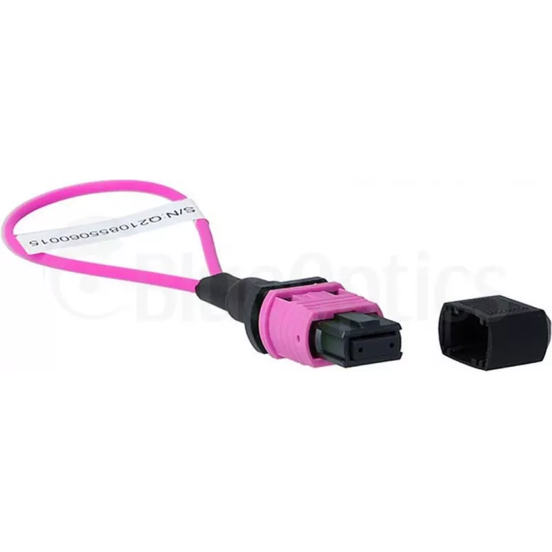 BlueOptics Loopback adaptér MPO/MTP multimode OM4